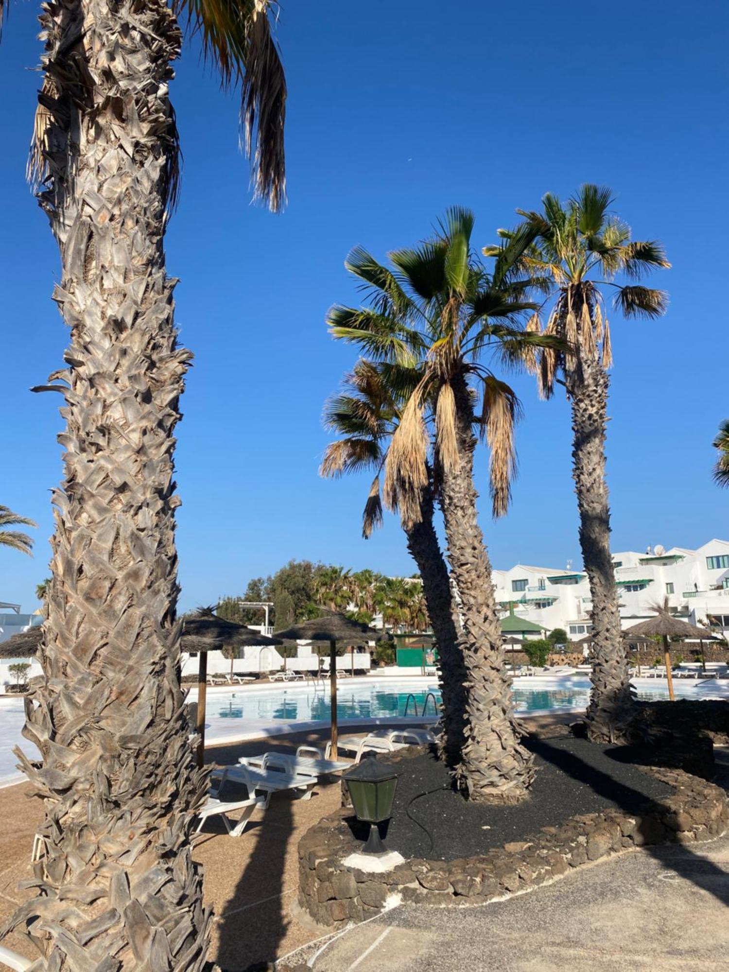 First Floor Apartment With Sea View, Costa Teguise Kültér fotó